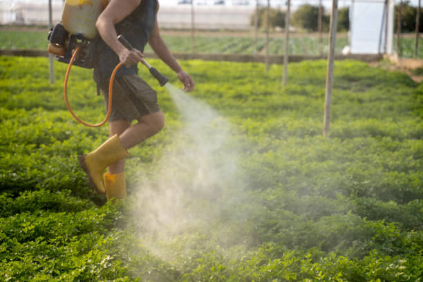 Best Pest Removal Services  in Ramseur, NC