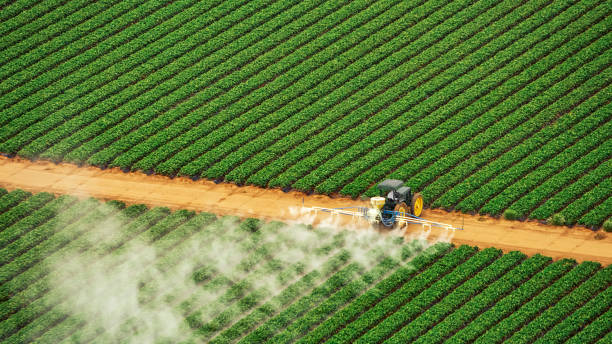 Best Pest Inspection Near Me  in Ramseur, NC