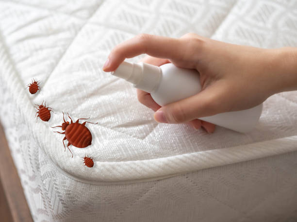  Ramseur, NC Pest Control Pros